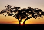 Un continent oublié : l’Afrique image