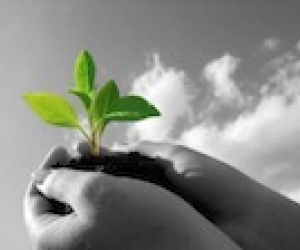 Guide d’optimisation fiscale : l’investissement en direct au capital de sociétés image Guide d’optimisation fiscale : l’investissement en direct au capital de sociétés