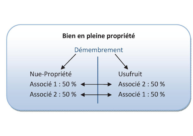 Se protéger grâce au démembrement de SCI