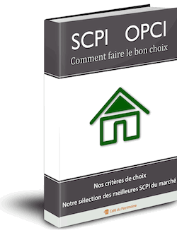 SCPI, OPCI : comment faire le bon choix