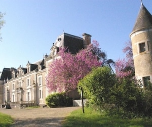 Immobilier et patrimoine : et si vous achetiez un château ?