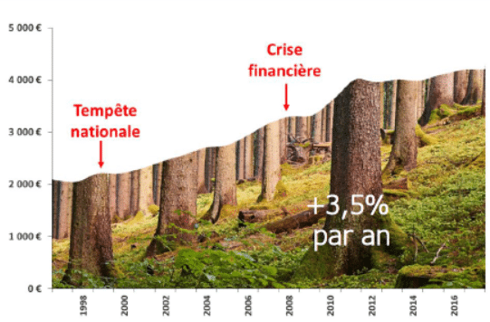 GFF-investir-bois-foret