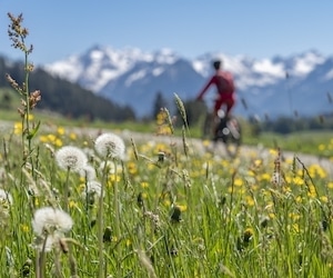 5 activités supers et pas chères à faire dès cet été