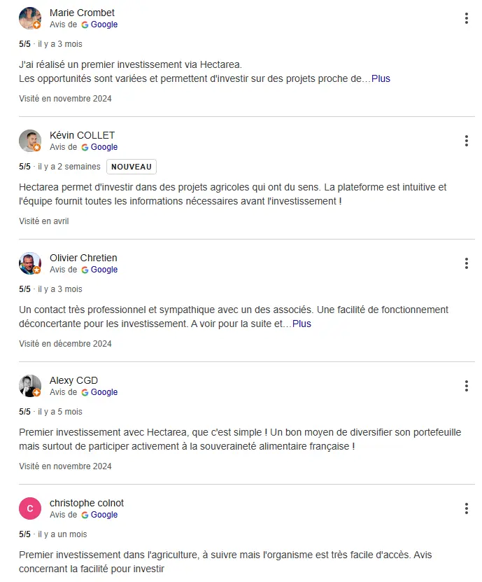avis Google Hectarea